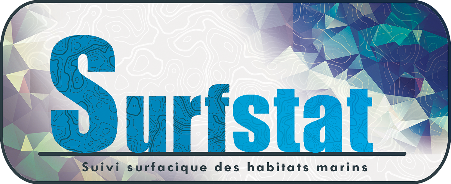 logo-SUFSTAT