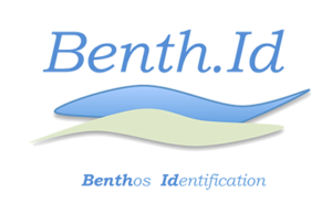logo-Benth