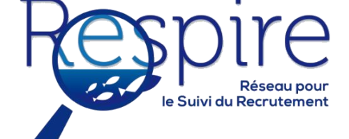 LOGO_RESPIRE_final TRANSPARENT LOGO_RESPIRE_final TRANSPARENT