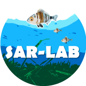 logo-SAR-LAB