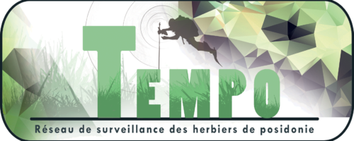TEMPO TEMPO