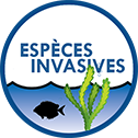 projet-icone-especes-invasives